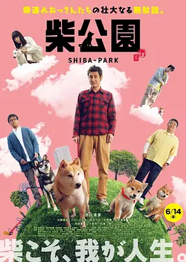 日韩精品视频在线观看