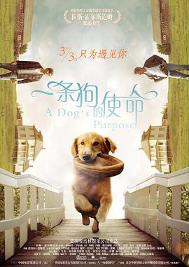 亚洲专区第一页