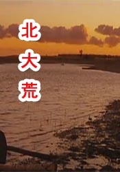 触手h