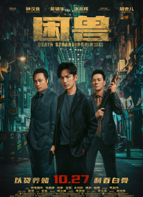 王多鱼打扑克