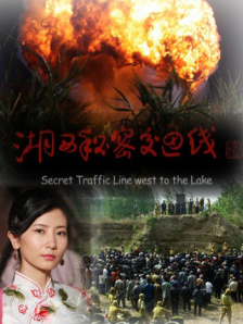 美女免费网视频