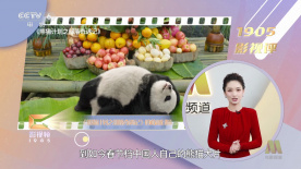 一级午夜a毛片免费视频